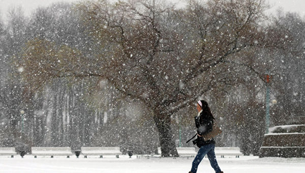 На Петербург обрушился снегопад