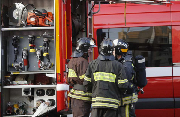 Нижегородские пожарные спасли с дерева школьницу